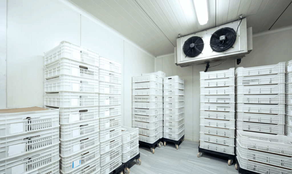 cold storage solutions